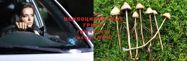дурь Алексеевка